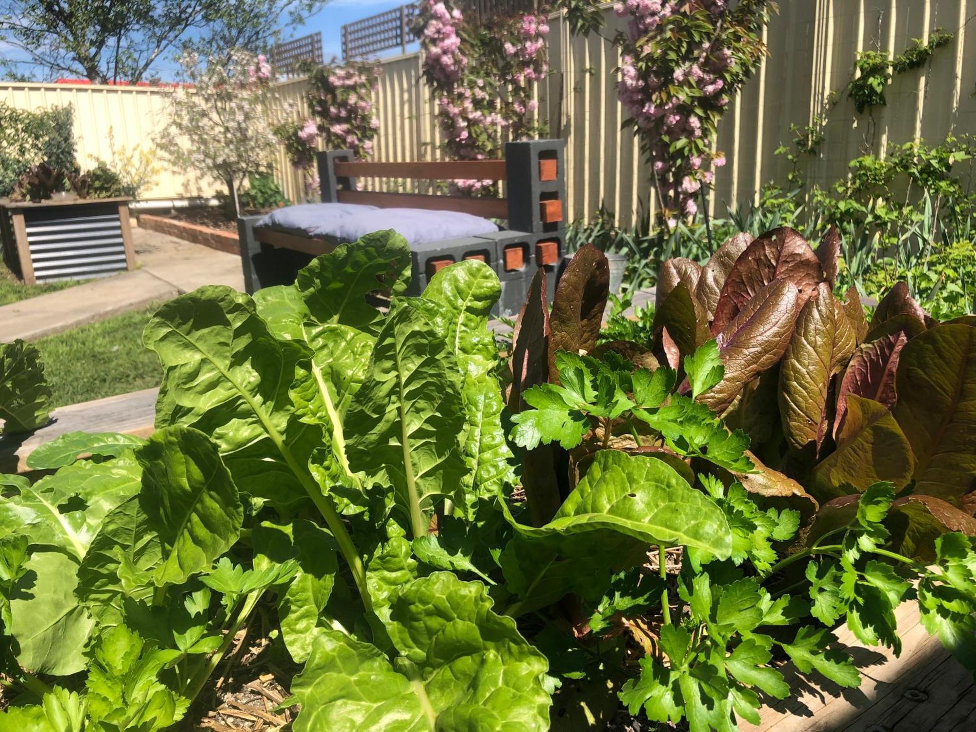 Lovely Budget Vegan Homestay Launceston Ngoại thất bức ảnh