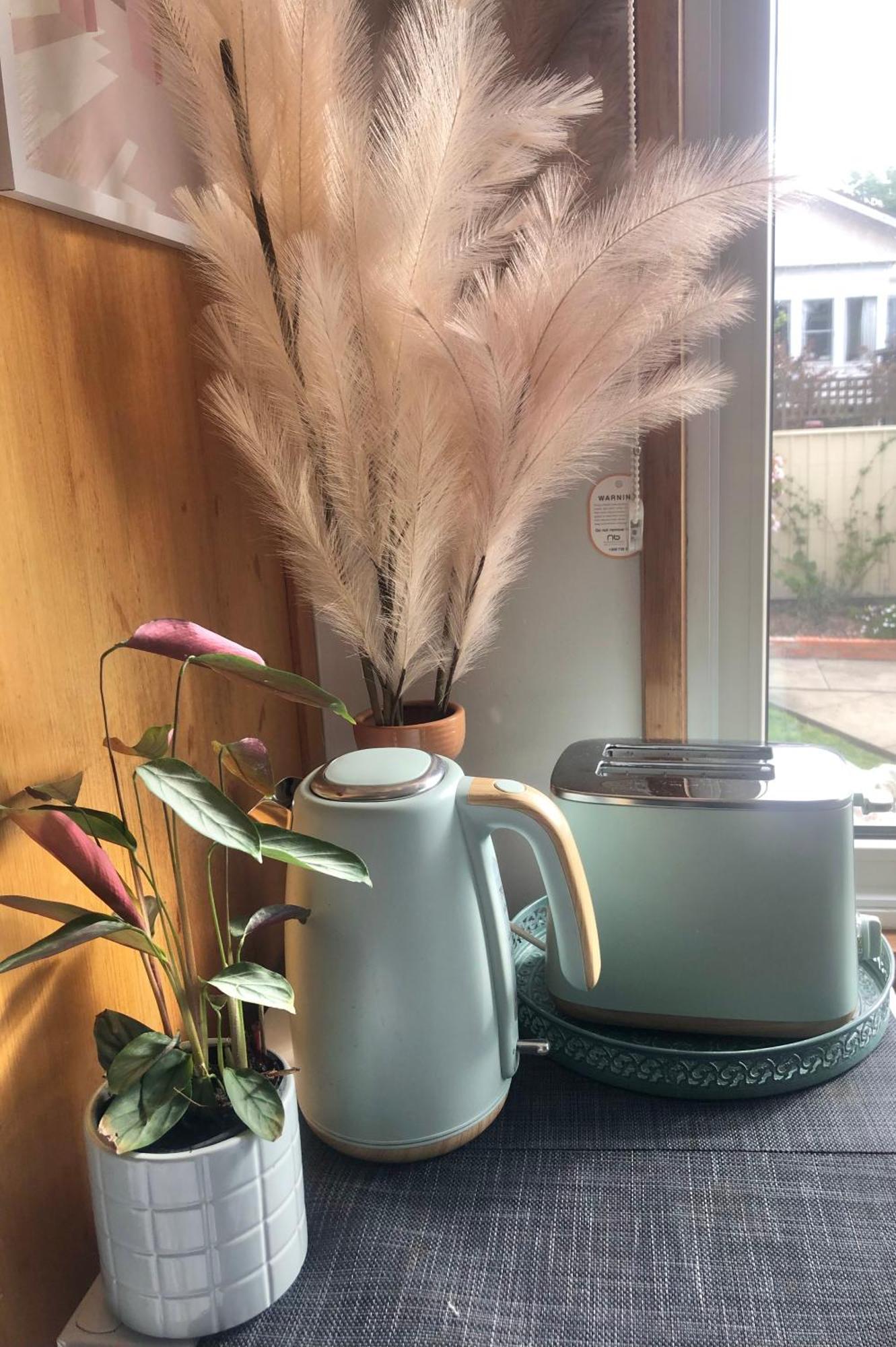 Lovely Budget Vegan Homestay Launceston Ngoại thất bức ảnh